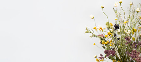 Dry flowers, close up, selective focus. Dried field flowers on the light background. Place for text...
