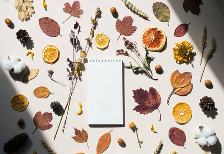 Blank notebook decorated autumn colored leaves, dried flowers and slices of oranges. Autumn mockup. Trendy fall season flat lay.の写真素材
