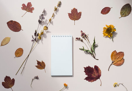 Blank notebook decorated autumn colored leaves, dried flowers and slices of oranges. Autumn mockup....
