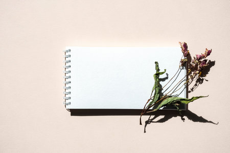 Mockup blank white spiral notebook. Stationery still life with shadows from olive branch, view from above.の写真素材