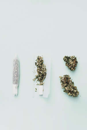 Marijuana buds and rolling cannabis joint. Crushed buds of marijuana on the tobacco paper. Drugs concept.の写真素材