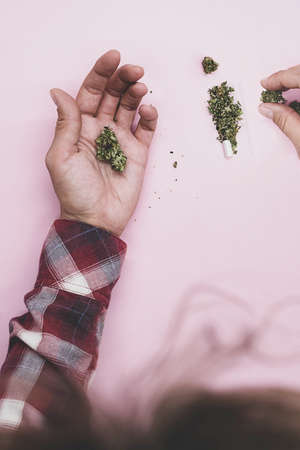 Woman rolling cannabis joint. Crushed buds of marijuana on the tobacco paper.の写真素材