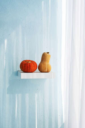 Seasonal pumpkins on white shelf for home decoration. Minimalism style autumn inspired interior design.の写真素材