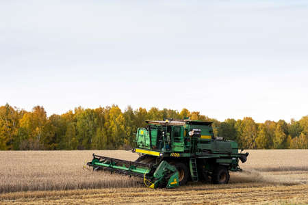 Combine harvester, harvesting machine working in field. Agricultural industry concept.