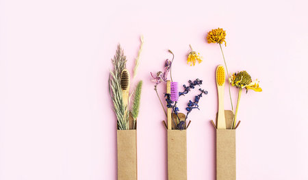 Zero wast multicolored bamboo toothbrushes with dried flowers, on pink background. Wooden personal...