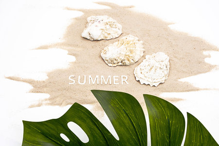 Summer mood creative arrangement. Monstera palm leaf, beautiful seashells, summer - word on white sands.の写真素材