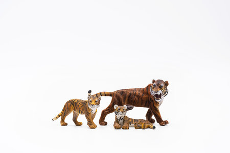 Toy animal figures tiger and tiger cubs on white.の写真素材