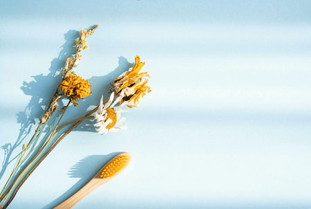 Zero wast yellow bamboo toothbrush with dried flowers, on blue background. Eco friendly wooden personal dental care accessory. Plastic free, sustainable lifestyle conceptの写真素材