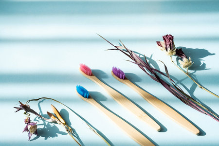 Zero wast multicolored bamboo toothbrushes with dried flowers, on blue background. Eco friendly wooden personal dental care accessories. Plastic free, sustainable lifestyle conceptの写真素材