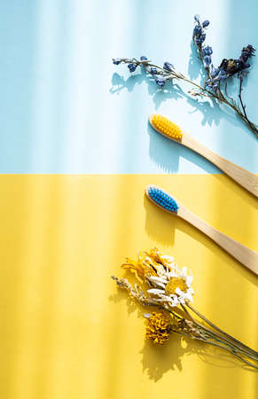 Zero wast bamboo toothbrushes with dried flowers, on yellow blue background. Eco friendly wooden personal dental care accessories. Plastic free, sustainable lifestyle conceptの写真素材