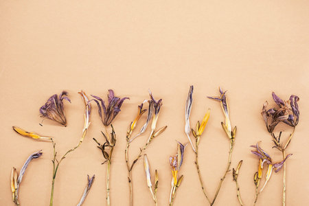 Pattern of beautiful dried flowers. Withered lily flower on beige background.