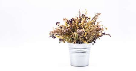 Beautiful dried flowers bouquet in vase against light background. Still life of withered flowers bouquet.の写真素材
