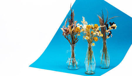 Still life of withered flowers bouquets. Beautiful dried flowers bouquets in various vase against blue background.の写真素材