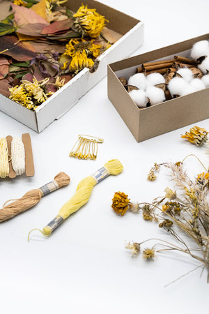 Workplace for hand crafting, hobbies or DIY. Natural materials, dried leaves, flowers in boxes on white table.の写真素材