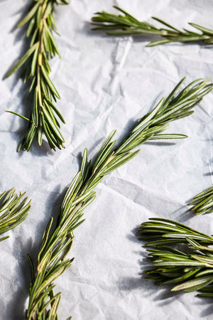 Rosemary sprigs, close up. Twigs of rosmarinus officinalis.の写真素材