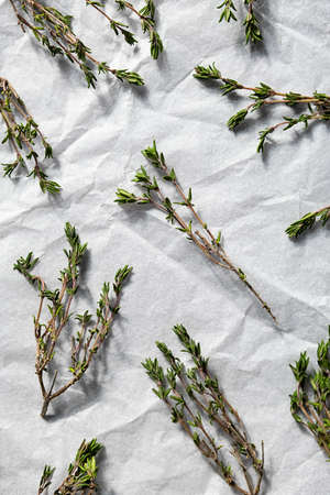 Thyme sprigs, close up. Twigs of thymus serpyllum.の写真素材