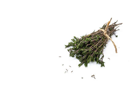 Bunch of thyme sprigs on white background. Thymus serpyllum bundle, close up.の写真素材