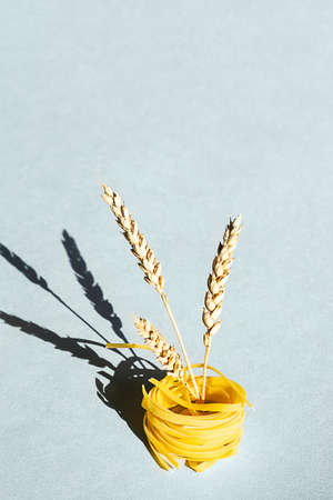 Uncooked pasta nest and ears of wheat. Creative composition of raw pasta on blue background.の写真素材