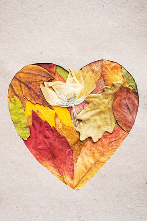 Heart shape made from autumn colored leaves. Fall season concept, copy space.の写真素材