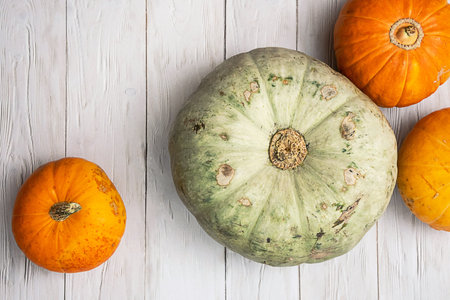 Still life with vibrant pumpkins. Thanksgiving or autumn background.