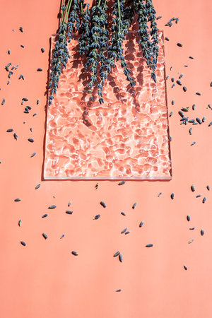 Lavender creative composition. Trendy artistic mock up with dried flowers.の写真素材