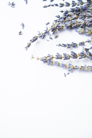 Dried lavender flowers on white. Tender flower arrangement.の写真素材