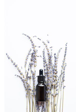 Essential lavender oil drop bottle and dried lavender flowers. Skin care organic product.の写真素材