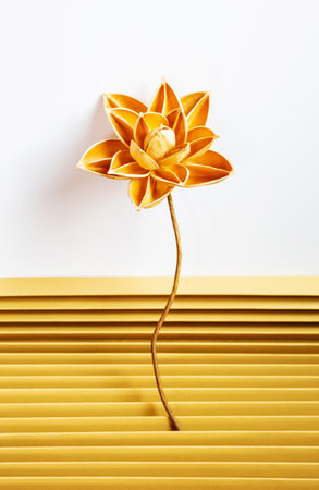 Dried lotus flower crafting from fruits shell. DIY home decorating.の写真素材