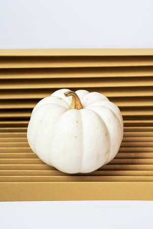 One tiny pumpkin. Autumn minimalistic still life.の写真素材