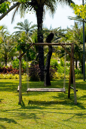 Hanging swing on backyard against palm trees. summertime mood.の写真素材