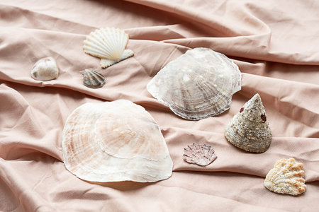 Some seashells on textile background. Sea shells maritime wealth.