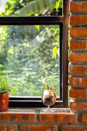 Use craked wineglass as flower pot.の写真素材