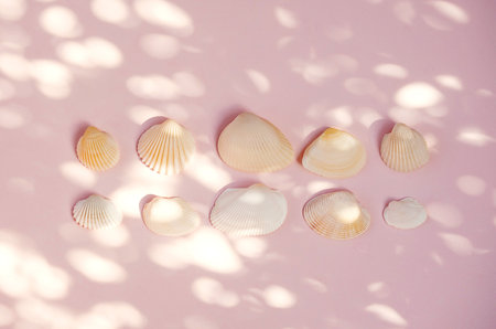 Seashells summery layout. Beach memories concept.の写真素材