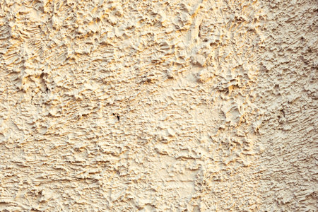 Rugged grungy plaster wall texture.の写真素材