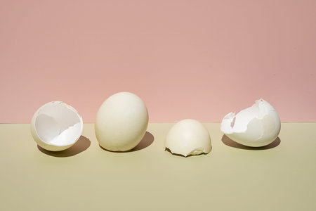 Cracked eggs shell. Easter creative still life.