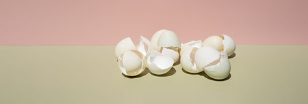 Cracked eggs shell. Easter creative still life.