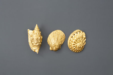 Golden shells arranging on grey.