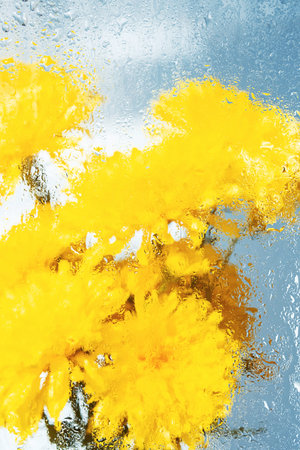 Yellow flowers still life. Droplets on glass and flower bouquet.の写真素材