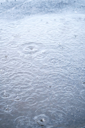 Circles and raindrops on the puddle.