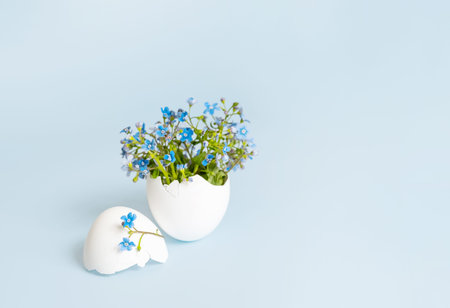 Delicate blue flowers arranged in cracked eggshell on pastel blue background.の写真素材