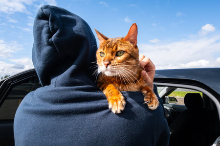 Cat being carried by person near car on sunny day. Pets travel concept.の写真素材