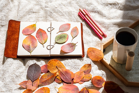Autumn leaves arranged in notebook. Nature journaling and fall concept.の写真素材