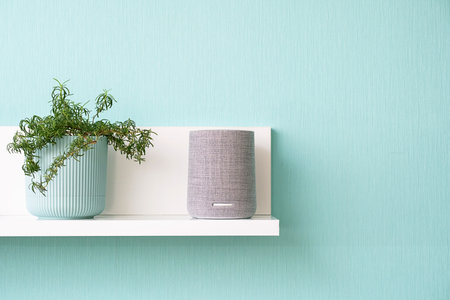 Modern speaker and houseplant on shelf against pastel background.の写真素材