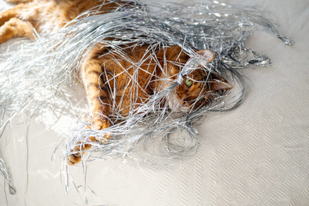 Holiday cat playing in foil Christmas tree tinsel.