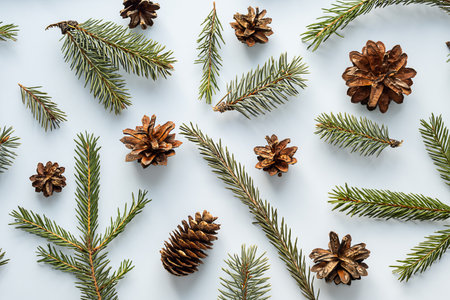 Pinecones and fir branches on light background. Wintertime holiday pattern.の写真素材