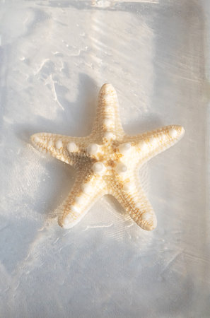 Starfish arrangement underwater. Summery vacation concept.の写真素材