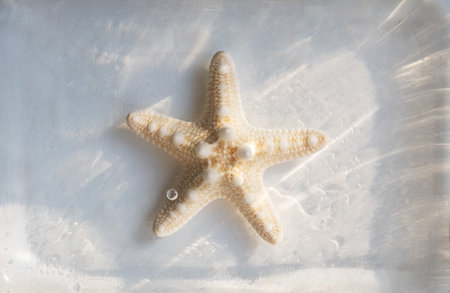 Starfish arrangement underwater. Summery vacation concept.