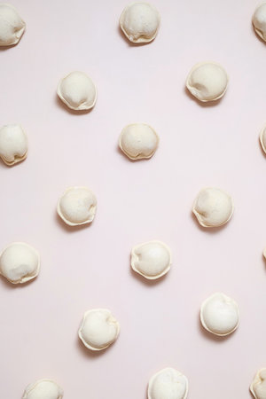 Pattern of raw dumplings. Frozen food.の写真素材
