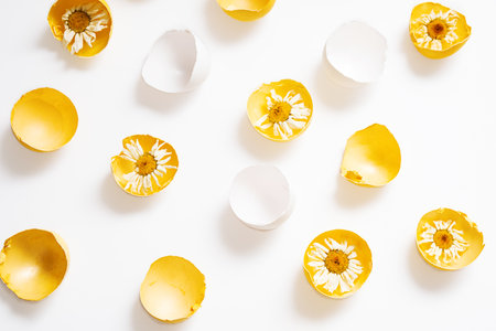 Cracked Easter Eggs with Flowers Inside.の写真素材