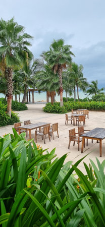 Outdoor Dining Area with Wooden Tables and Chairs Under Palm Trees Near the Sea. Tropical Resort Restaurant Setup.の写真素材